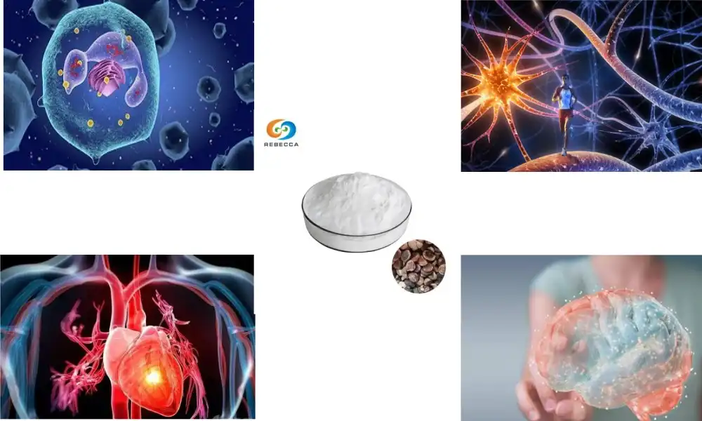Why Choose Organically Sourced Natural Helicidum?