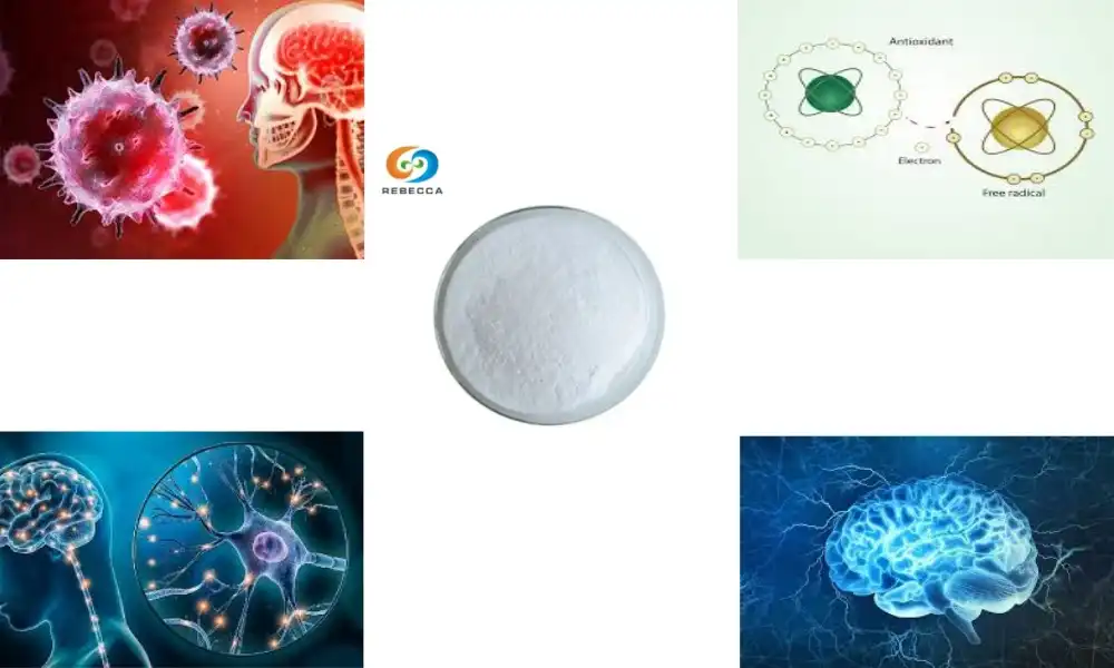 Why is ergothioneine good for the brain?