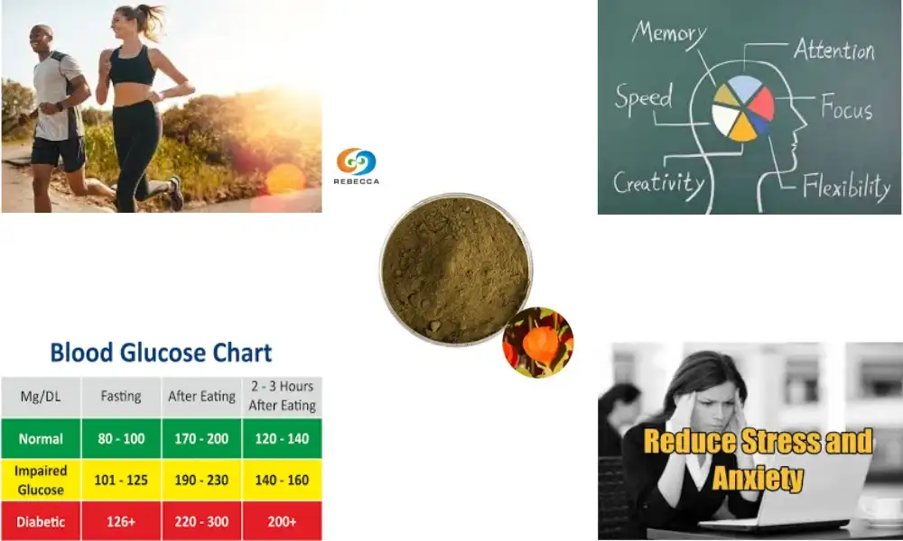 Boost Your Energy with Withania Somnifera Root Powder