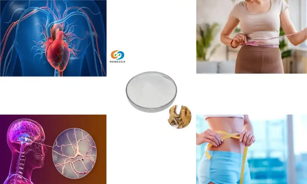 Can Resveratrol Help You Lose Weight Naturally?