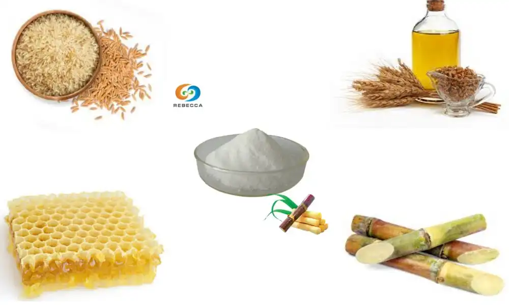 What are the sources of octacosanol?