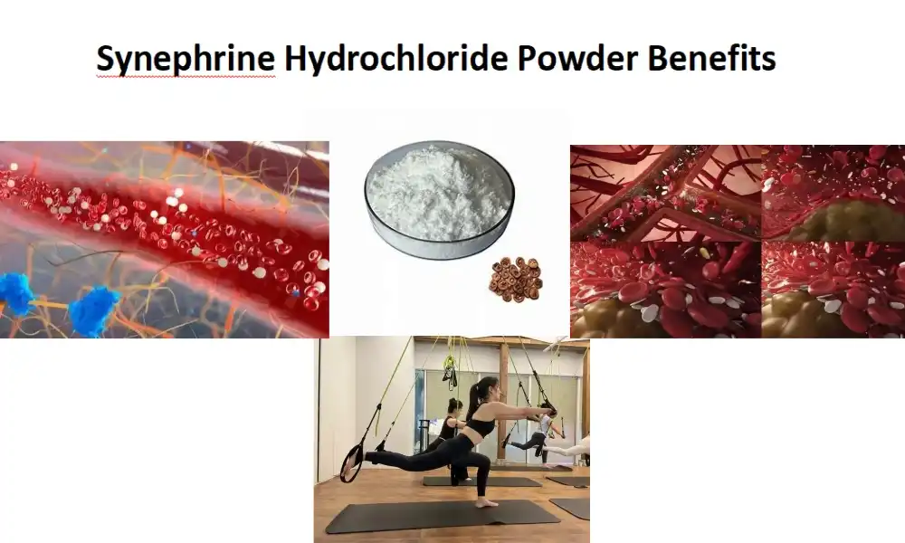 Synephrine гідрахларыд парашок Перавагі