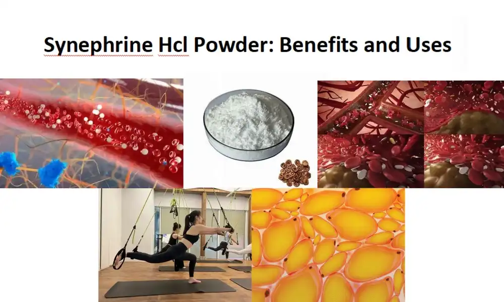 Synephrine Hcl парашок: перавагі і выкарыстанне