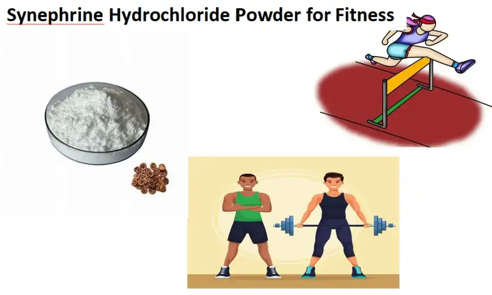 Synephrine Hydrochloride Powder alang sa Fitness