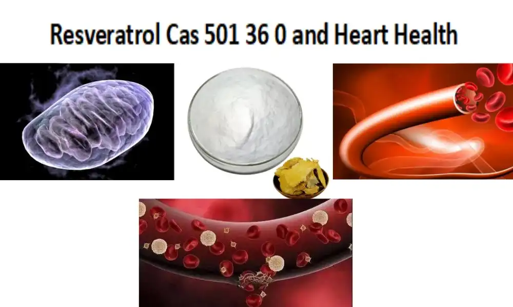 Resveratrol Cas 501 36 0 ug Health Health