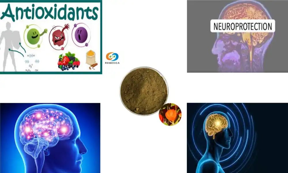 Unlock Sharper Memory with Withania Somnifera Root Powder