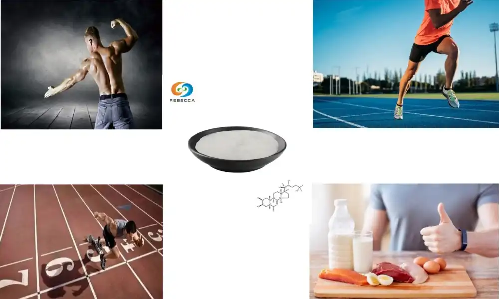 Ecdysterone vs Turkesterone: Strength, Endurance, and Results Compared