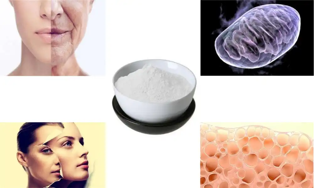 Resveratrol Anti-Ageing Benefits: Fad or Fact?