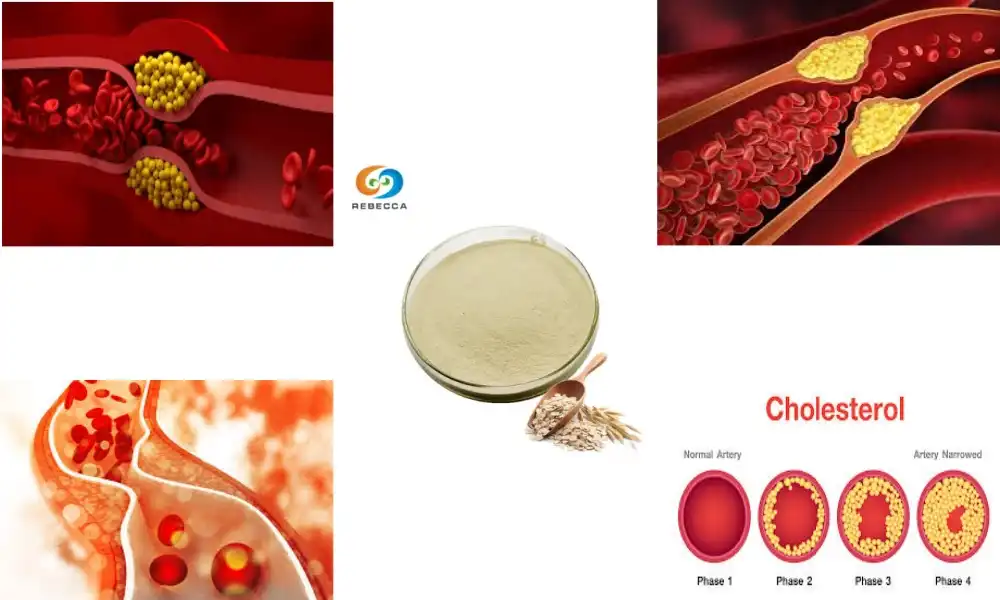 Lower Cholesterol Naturally with Oat Beta Glucan Powder