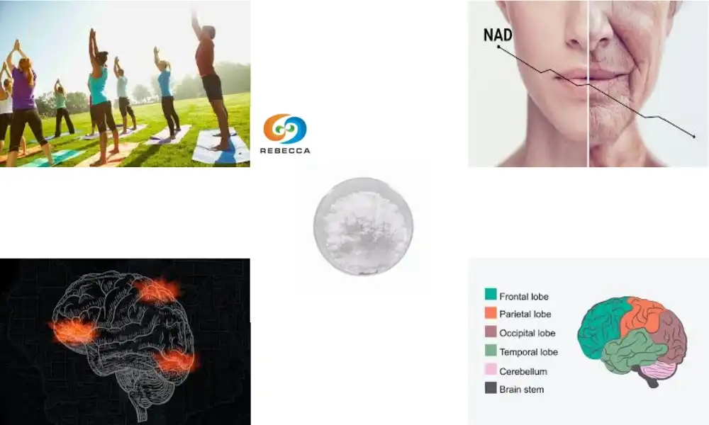 How does beta nicotinamide mononucleotide boost cellular energy?