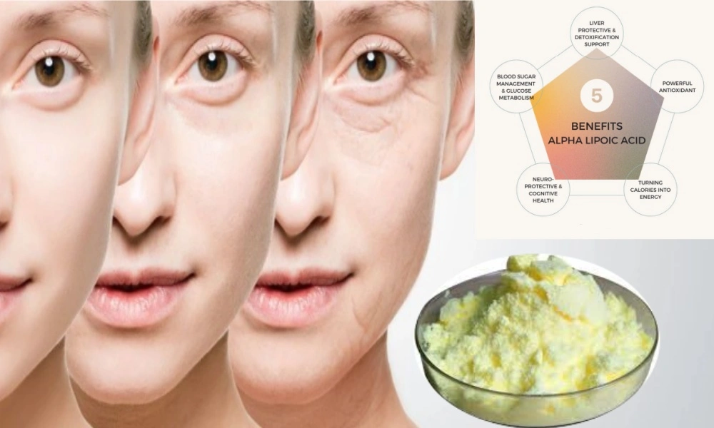 Pêvekek Xwarinê ya Premium Alpha Lipoic Acid