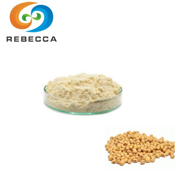 Organik Soya Lesitini Tozu