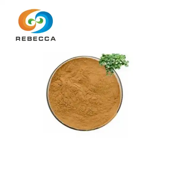 Ivy Leaf Extract Powder