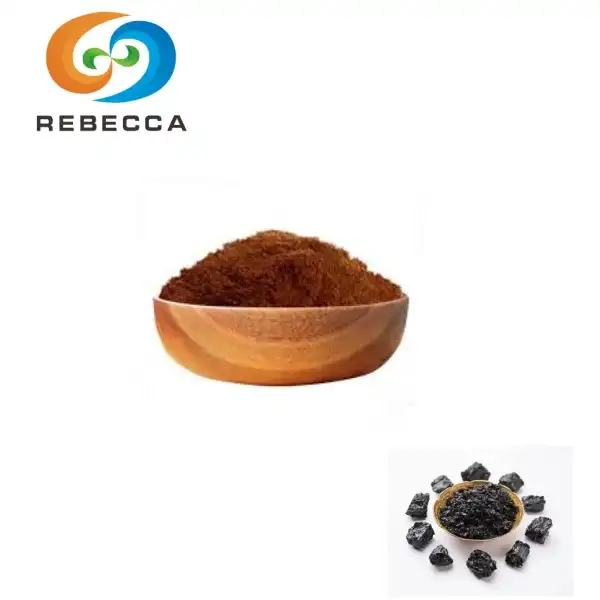 Εκχύλισμα Shilajit σε σκόνη