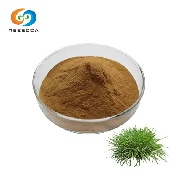Organikong Horsetail Powder