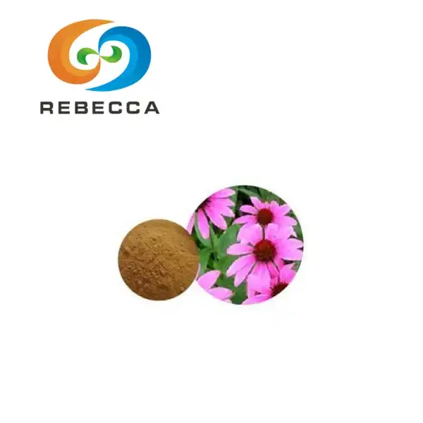 Echinacea Purpurea ekstrakt pulver