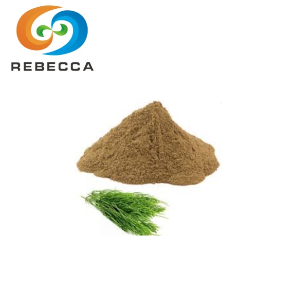 Horsetail Extract Powder