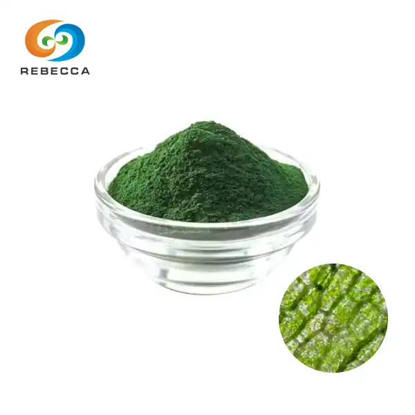 Organikong Chlorophyll Powder