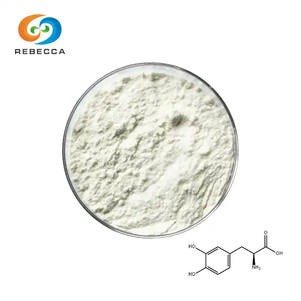 3 4 Dihydroxy Phenylalanine 