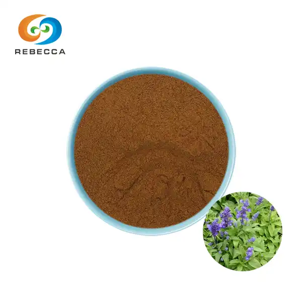 Beste Clary Sage-ekstraktpulver
